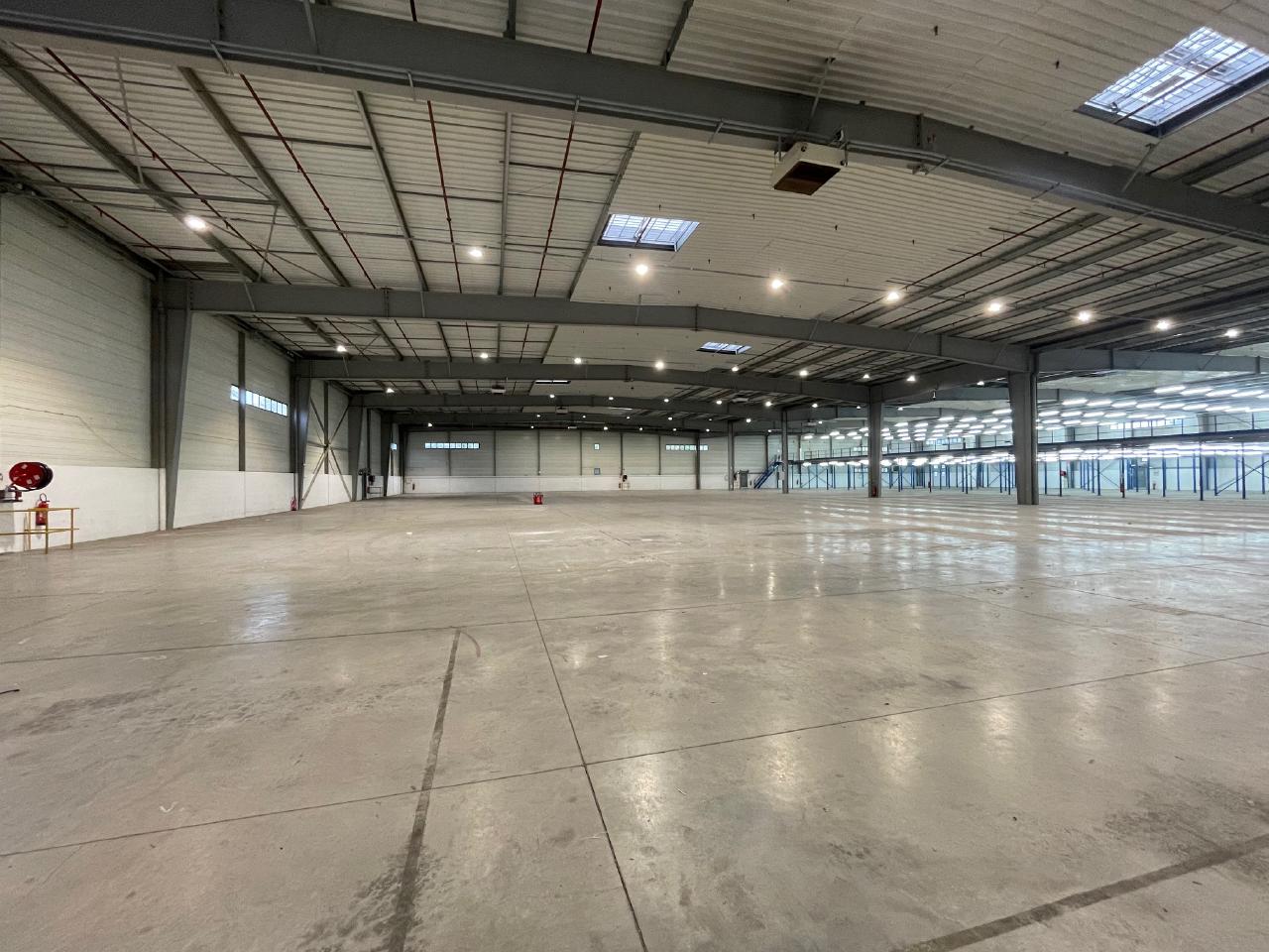Local d'activité Wissous 6190m² Location local d'activité Wissous Essonne OLACT2316457 4
